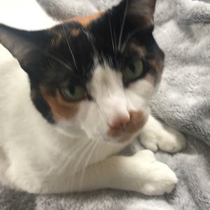 Meet your Posher, Leigh